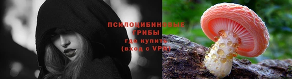 мет Кукмор