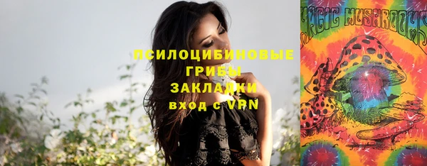 мет Кукмор