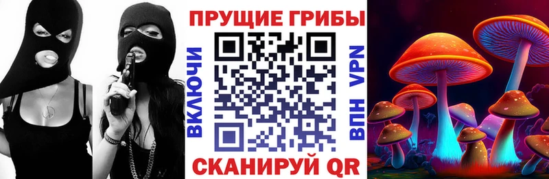 где купить наркоту  Южа  Галлюциногенные грибы Magic Shrooms 